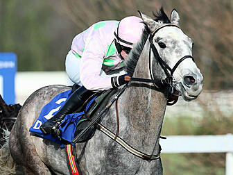 Need betting tips for the fest...